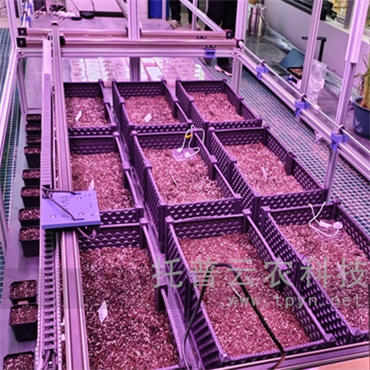 人工气候室植物表型监测系统